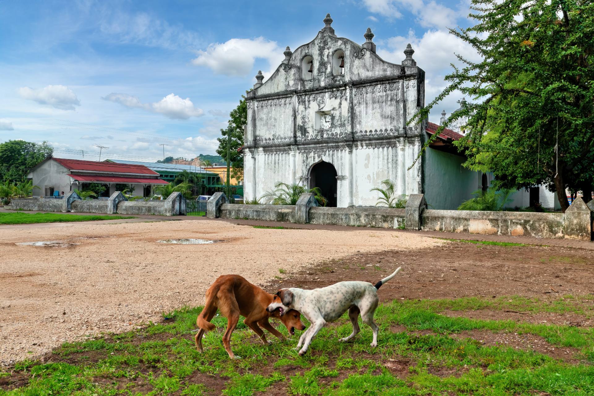 Die Kirche San Blas in Nicoya ist die älteste Kirche Costa Ricas aus dem Jahr 1644. 1822 würde sie durch ein Erdbeben zerstört, aber bereits 1827 wurde ein neue Kirche errichtet Das Erdbeben im September 2012 hat schwere Schäden hinterlassen, so dass sie für die Öffentlichkeit geschlossen bleibt. Im Inneren werden Relikte aus der Kolonialzeit aufbewahrt, darunter Teile der Uhr, die 1824 aus Deutschland mitgebracht wurden, Bronzeglocken und ein großformatiges Gemälde des Heiligen Franz von Assisi. Bei den Reparaturen von 2015 wurden unter der Kirche Skelette aus christlicher Zeit gefunden.